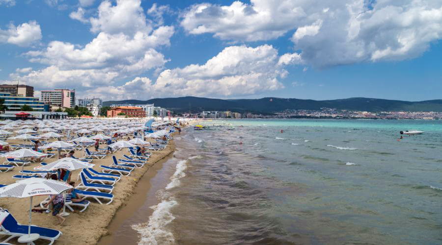 What are the most popular vehicle choices in Sunny Beach?